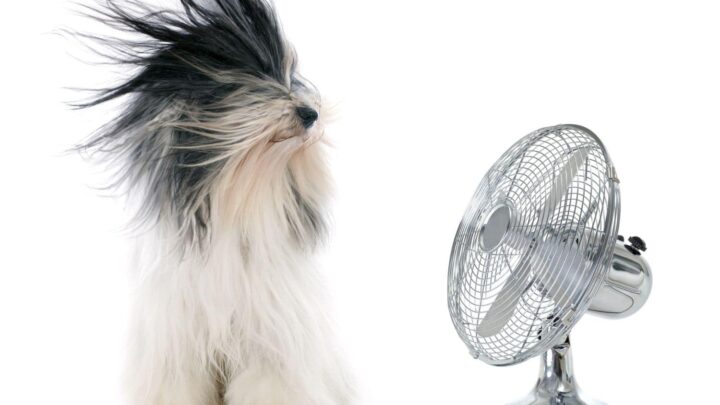Ventilatore quando smette di rinfrescare e  riscalda